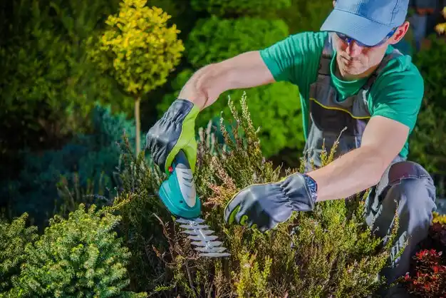 landscaping services Galesburg